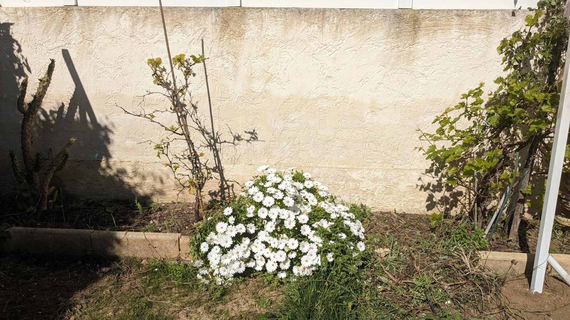Maisonnette Kalis Calme Avec Climatisation Parking Jardin Cadre Campagne Plages A Pieds バンドール エクステリア 写真
